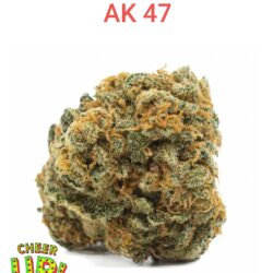 AK 47