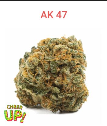 AK 47