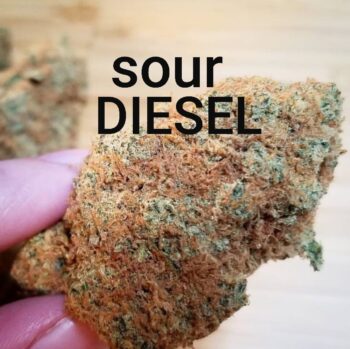 Sour Diesel