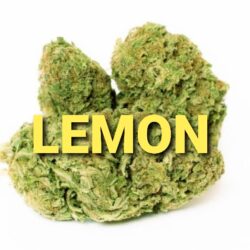 Lemon Haze