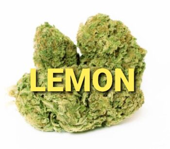 Lemon Haze