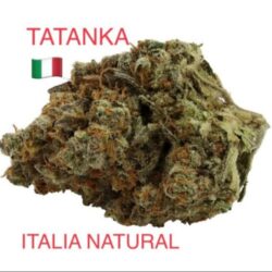 Tatanka