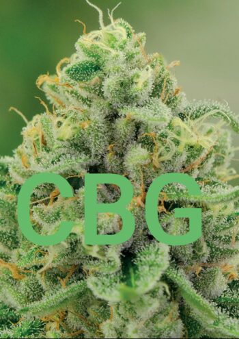CBG