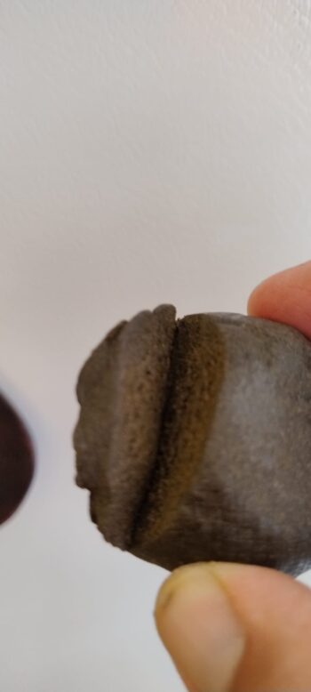 Hashish CBD - immagine 9